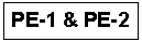 Text Box: PE-1 & PE-2