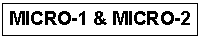 Text Box: MICRO-1 & MICRO-2